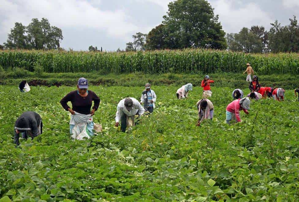 Visa de trabajo Estados Unidos