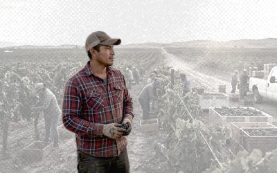 Visa H-2A 2026: qué es, qué cambia y por qué es importante para trabajadores agrícolas