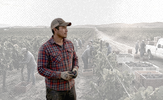 Visa H-2A 2026: qué es, qué cambia y por qué es importante para trabajadores agrícolas